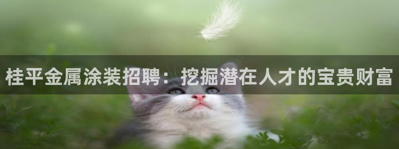 美高梅官网版是正品吗