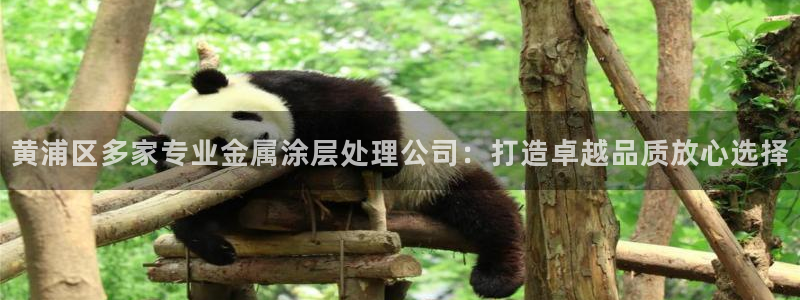 美高梅酒店停车收费吗