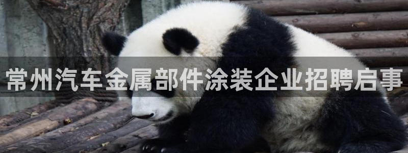 美高梅酒店品牌介绍