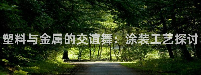 美高梅会员卡等级怎么分