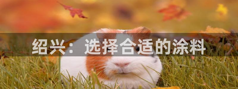 美高梅剧院演出