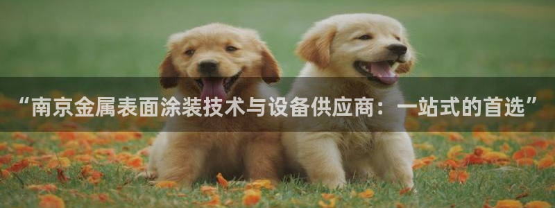 美高梅酒店老板是谁