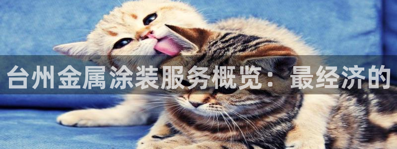 美高梅公司旗下有哪些公司