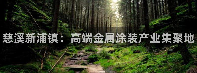 美高梅儿童托管怎么样啊