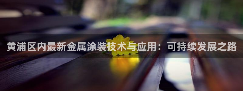 美狮美高梅酒店介绍：黄浦区内最新金属涂装